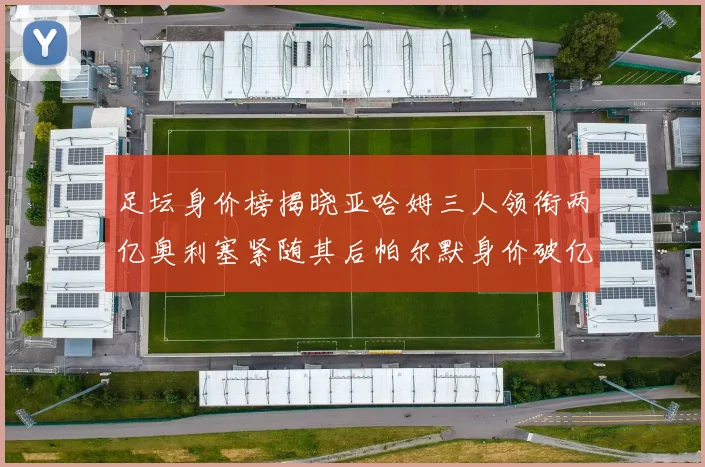 足坛身价榜揭晓亚哈姆三人领衔两亿奥利塞紧随其后帕尔默身价破亿