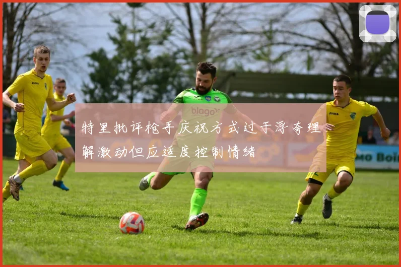 特里批评枪手庆祝方式过于浮夸理解激动但应适度控制情绪